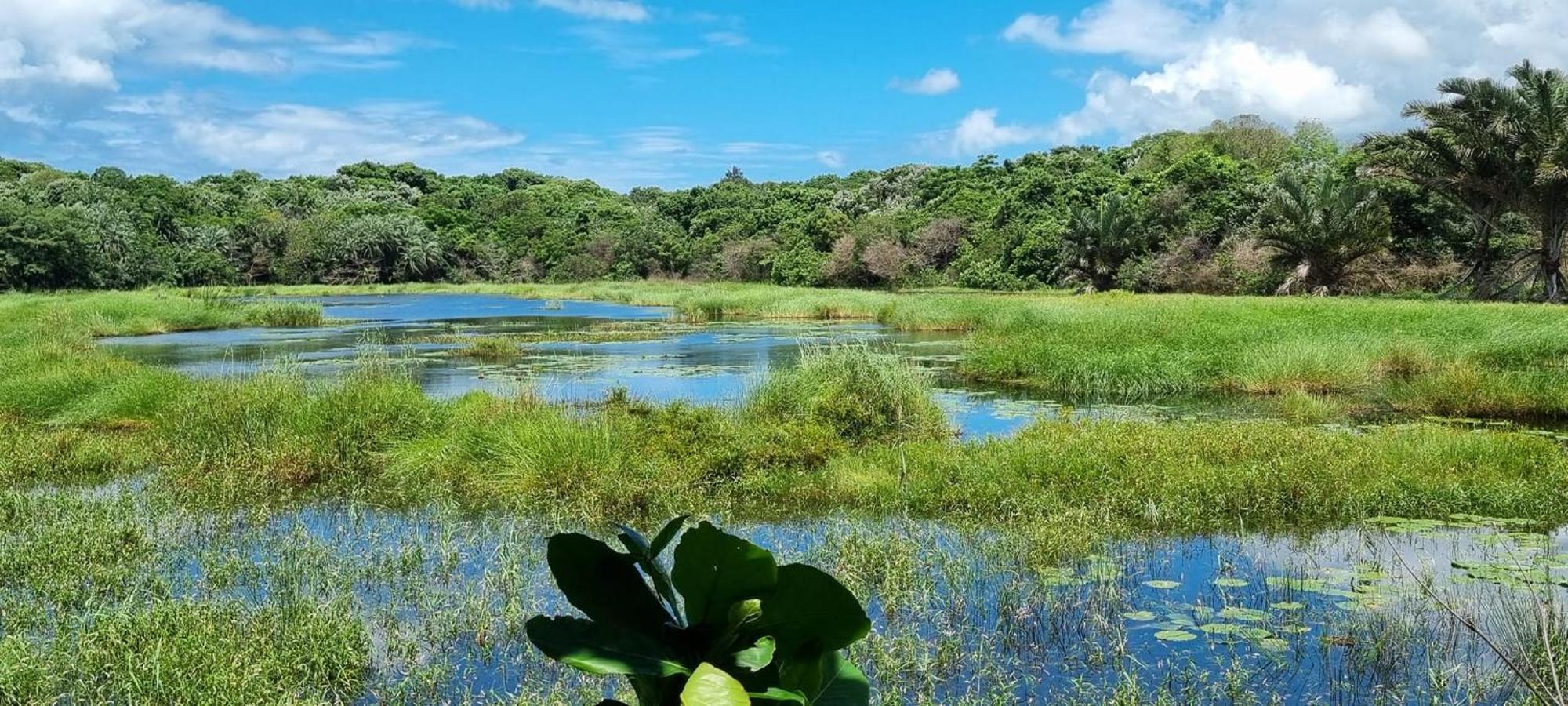 Imvubu Lodge Richards Bay Εξωτερικό φωτογραφία